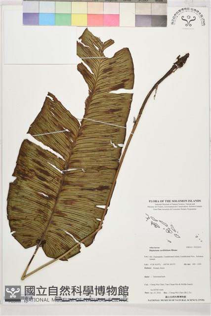Accession Number:P022653 Collection Image, Figure 1, Total 2 Figures