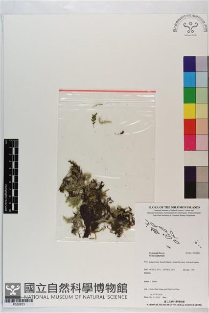 登錄號:P020853藏品圖，第1張