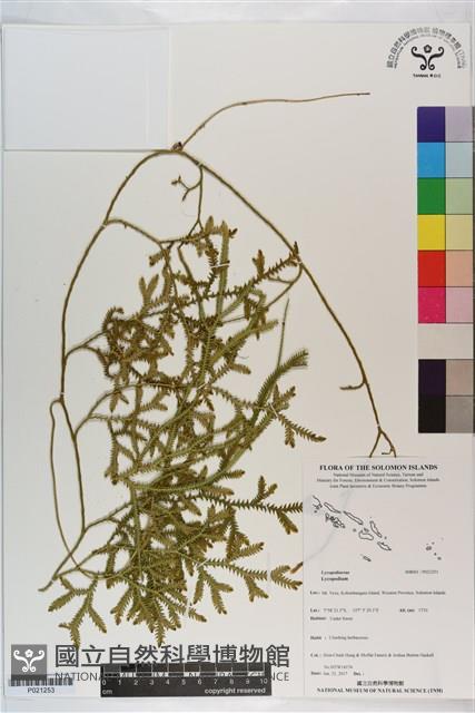 登錄號:P021253藏品圖，第1張