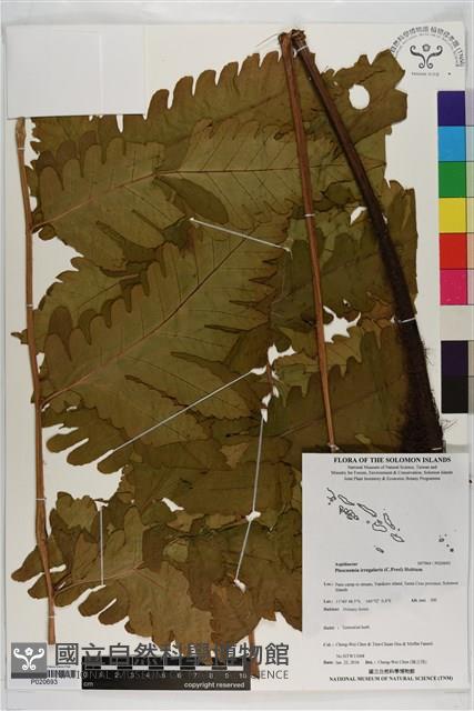 登錄號:P020693藏品圖，第1張