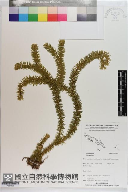 登錄號:P021693藏品圖，第1張