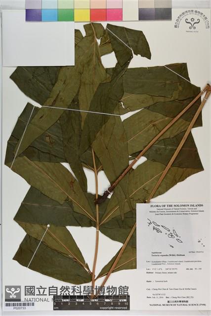 登錄號:P020733藏品圖，第1張