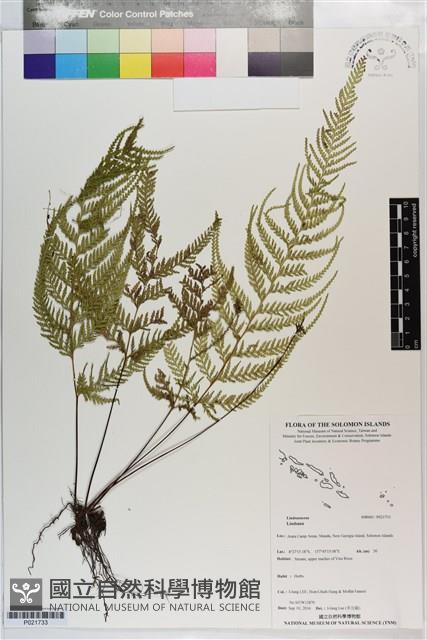 登錄號:P021733藏品圖，第1張