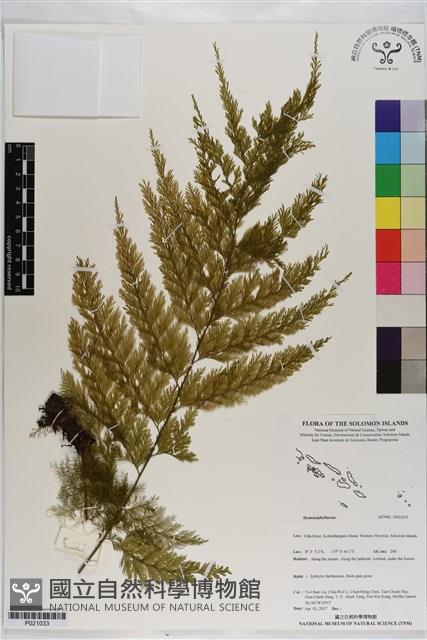 登錄號:P021033藏品圖，第1張