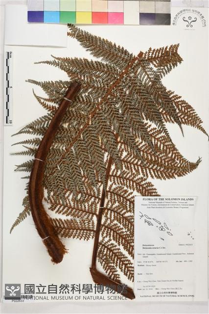 登錄號:P022633藏品圖，第1張