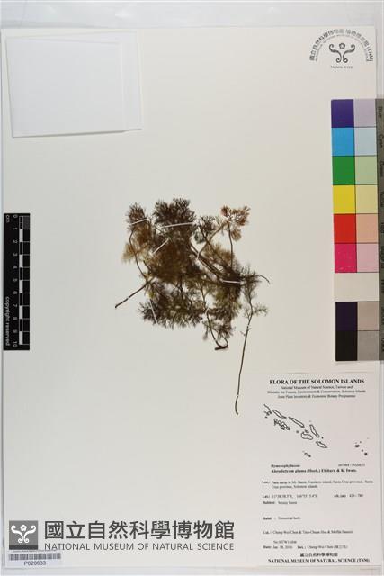 登錄號:P020633藏品圖，第1張