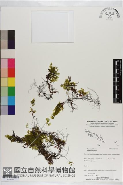 登錄號:P021263藏品圖，第1張