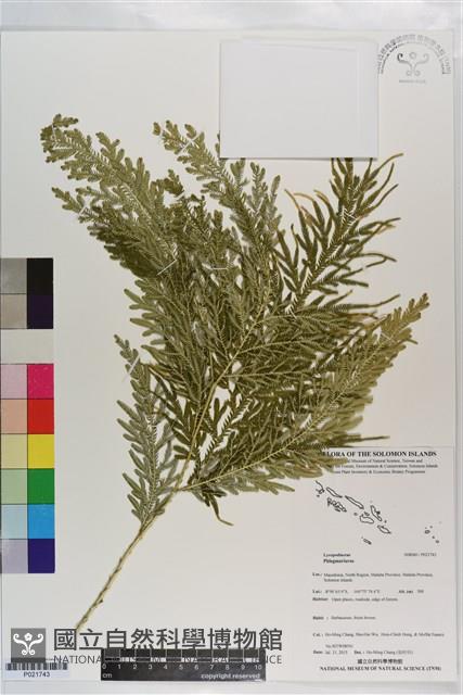 登錄號:P021743藏品圖，第1張