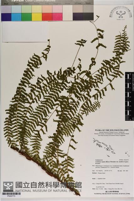 登錄號:P020773藏品圖，第1張