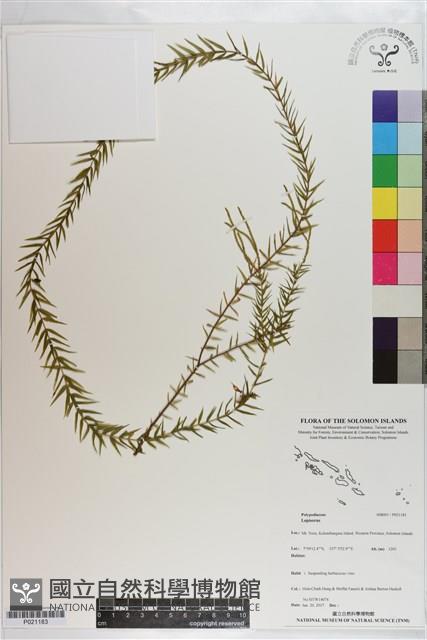 登錄號:P021183藏品圖，第1張