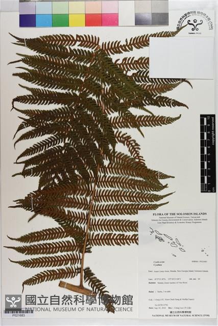 登錄號:P021683藏品圖，第1張