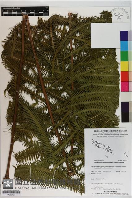 登錄號:P020727藏品圖，第1張