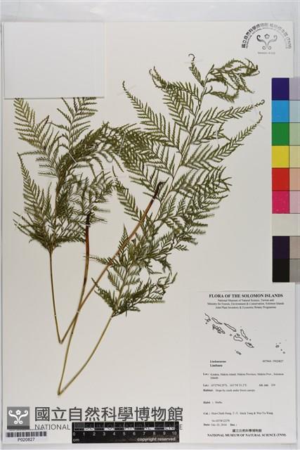 登錄號:P020827藏品圖，第1張