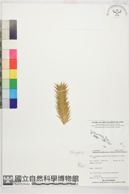 登錄號:P022607藏品圖，第1張