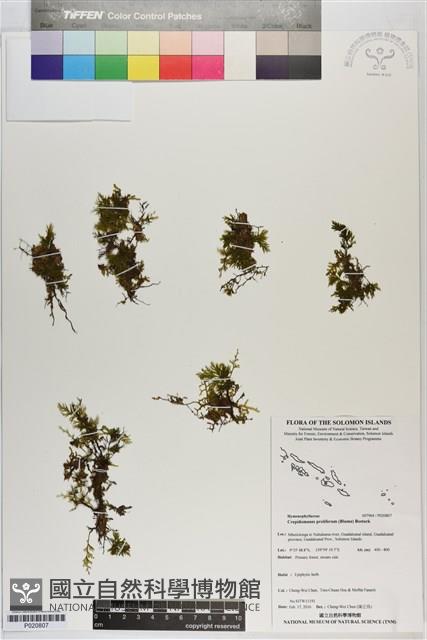 登錄號:P020807藏品圖，第1張