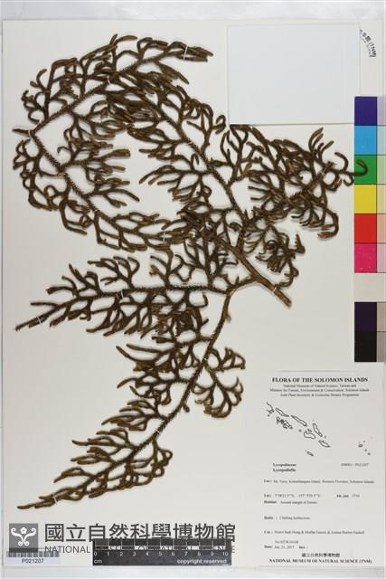 登錄號:P021207藏品圖，第1張