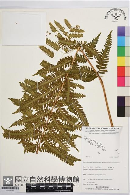 Trisect brake Collection Image