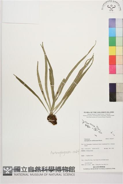 登錄號:P022617藏品圖，第1張