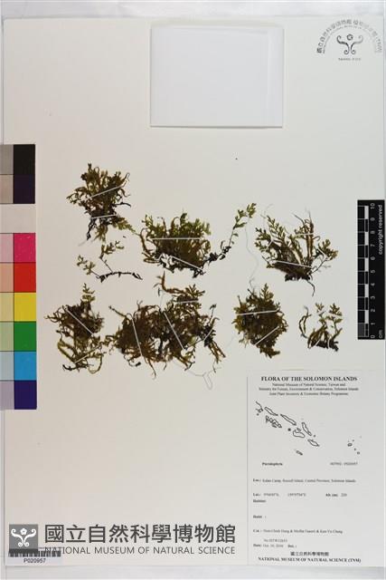 登錄號:P020957藏品圖，第1張