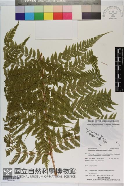 登錄號:P020757藏品圖，第1張