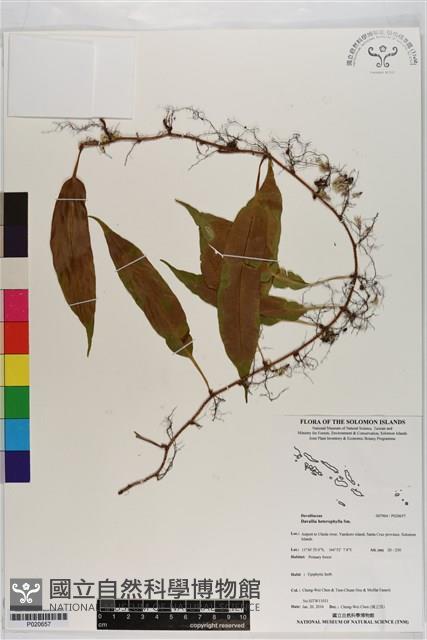 登錄號:P020657藏品圖，第1張