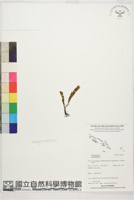 Accession Number:P022697 Collection Image