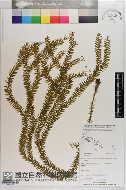 登錄號:P021737藏品圖，第1張