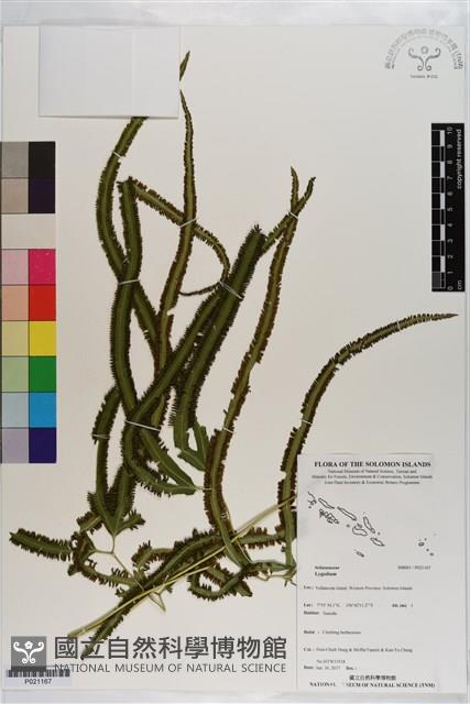 Accession Number:P021167 Collection Image