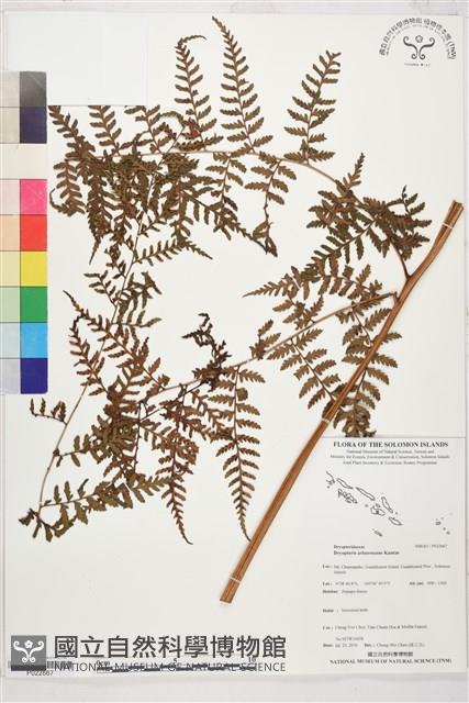 登錄號:P022667藏品圖，第1張