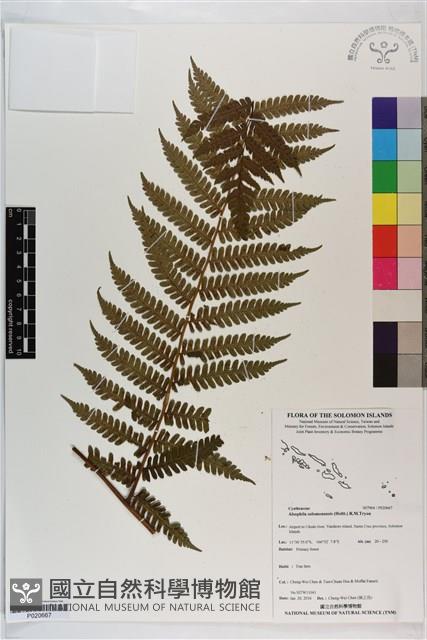 登錄號:P020667藏品圖，第1張