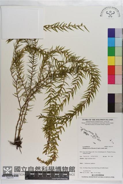 登錄號:P021777藏品圖，第1張