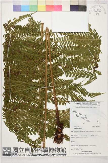 登錄號:P022577藏品圖，第1張