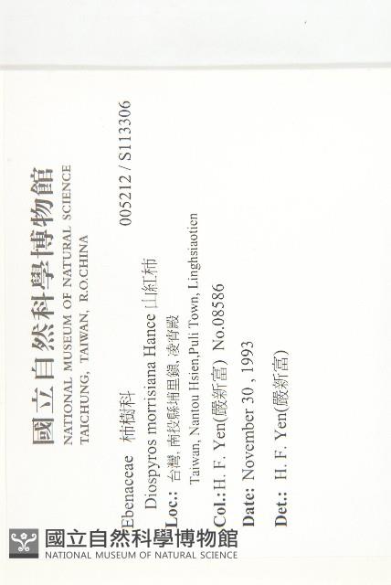 山紅柿藏品圖，第4張