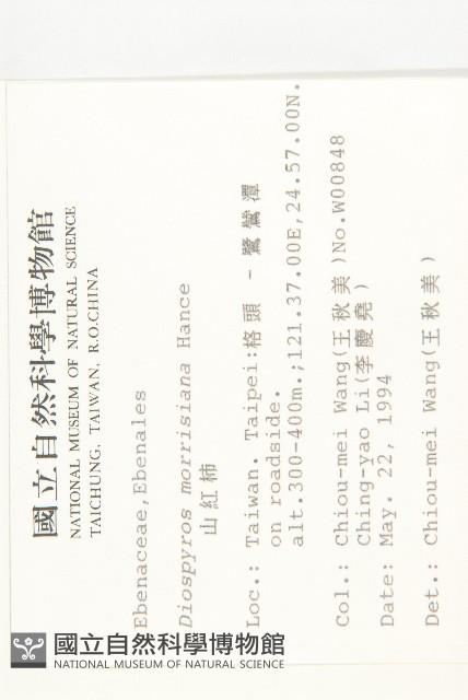 山紅柿藏品圖，第4張