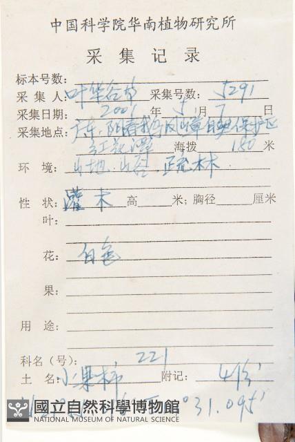 楓港柿藏品圖，第5張