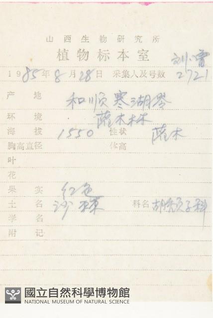 醋柳藏品圖，第5張