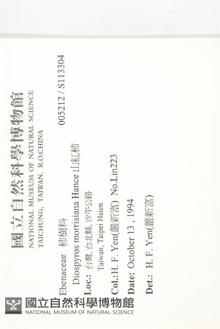 山紅柿藏品圖，第4張