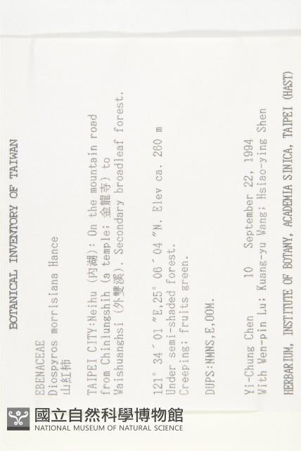 山紅柿藏品圖，第4張