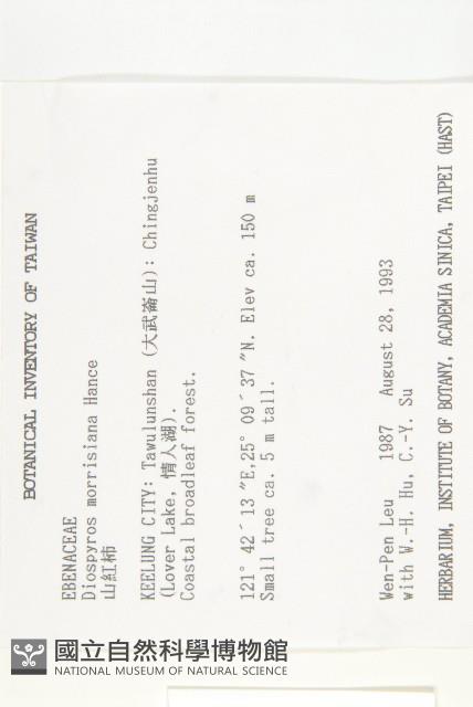 山紅柿藏品圖，第4張