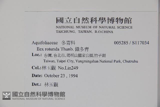 鐵冬青藏品圖，第4張