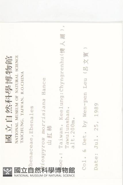 山紅柿藏品圖，第4張