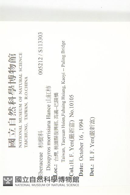 山紅柿藏品圖，第4張