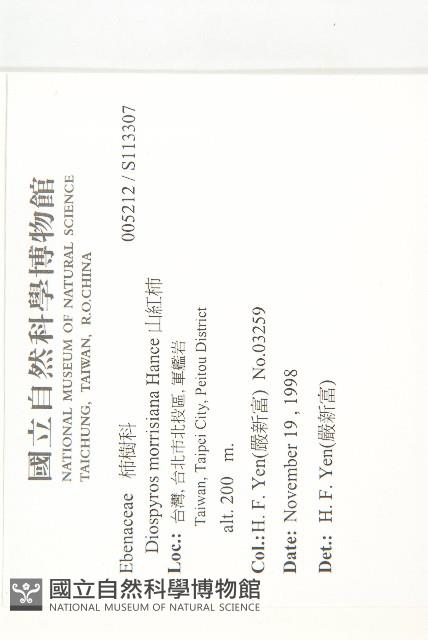 山紅柿藏品圖，第4張