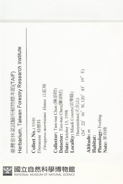 山紅柿藏品圖，第4張