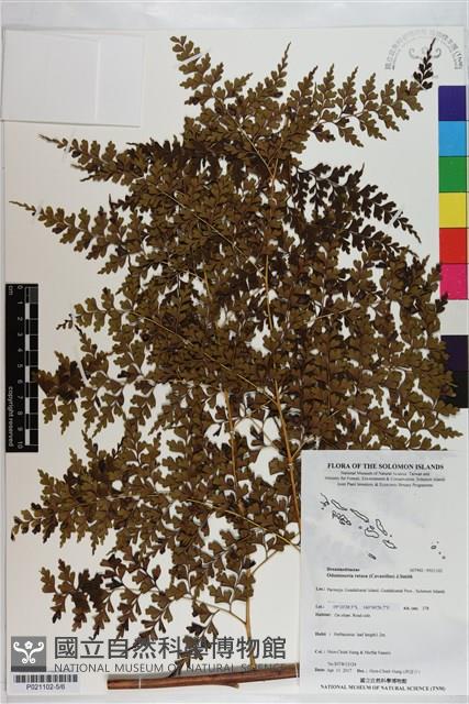 登錄號:P021102藏品圖，第5張