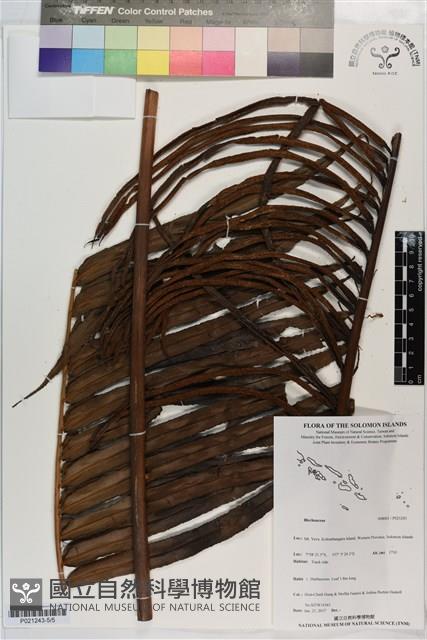 登錄號:P021243藏品圖，第5張