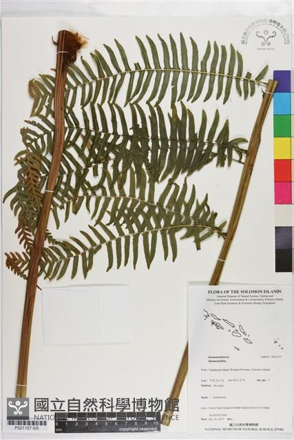 登錄號:P021157藏品圖，第5張