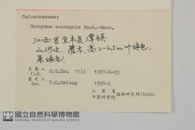 鴉椿衛矛藏品圖，第3張