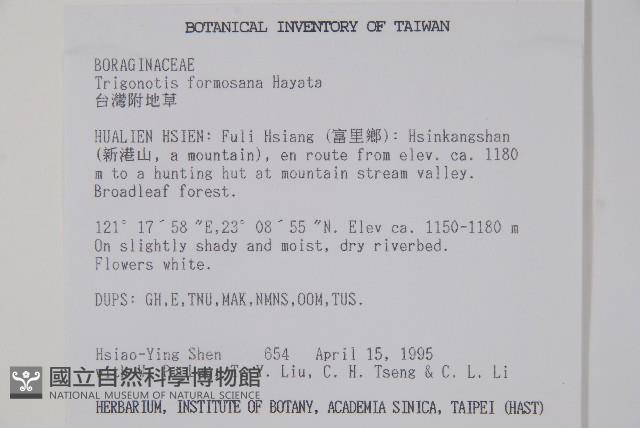 臺灣附地草藏品圖，第2張