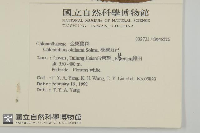 臺灣及己藏品圖，第2張